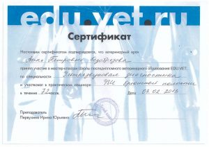 Сертификат Ультразвуковая диагностика Безобразова